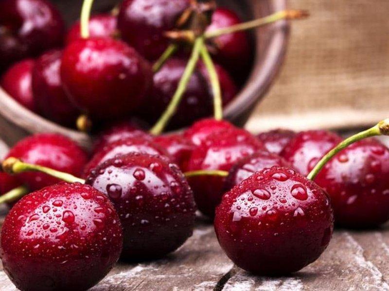 Вишня купить саженцы из питомника в Иркутске